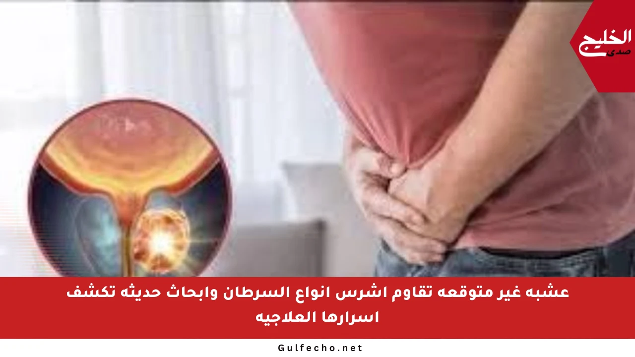 عشبة غير متوقعة تقاوم أشرس أنواع السرطان وأبحاث حديثة تكشف أسرارها العلاجية